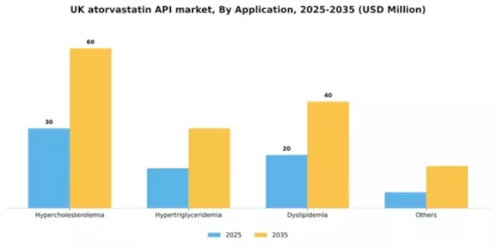 UK Atorvastatin API Market Segment Image 0