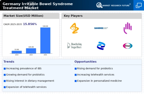Germany Irritable Bowel Syndrome Treatment Market Infographic