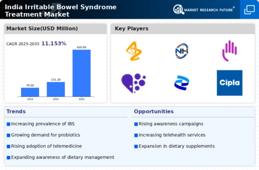 India Irritable Bowel Syndrome Treatment Market Infographic