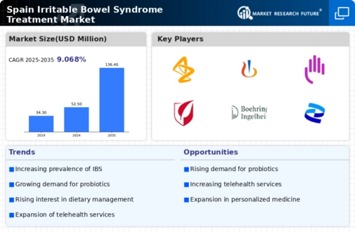 Spain Irritable Bowel Syndrome Treatment Market Infographic