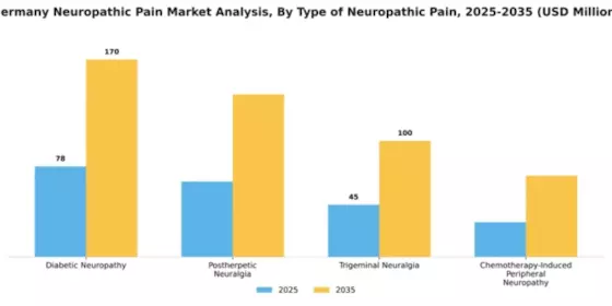 Germany Neuropathic Pain Market Segment Image 3