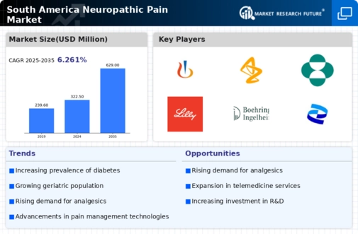 South America Neuropathic Pain Market -Forecast to 2035 Infographic