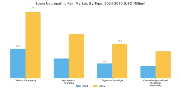 Spain Neuropathic Pain Market Segment Image 0