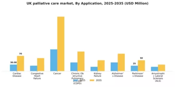 UK Palliative Care Market Segment Image 0