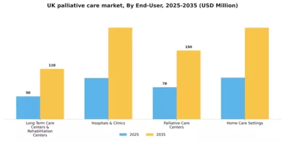 UK Palliative Care Market Segment Image 1