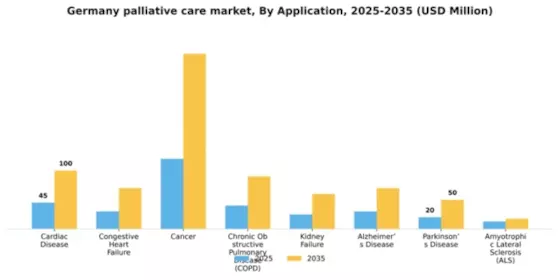 Germany Palliative Care Market Segment Image 0