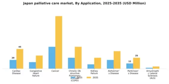 Japan Palliative Care Market Segment Image 0