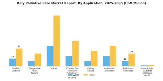 Italy Palliative Care Market Segment Image 0