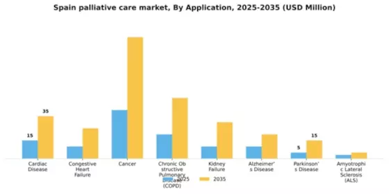 Spain Palliative Care Market Segment Image 0