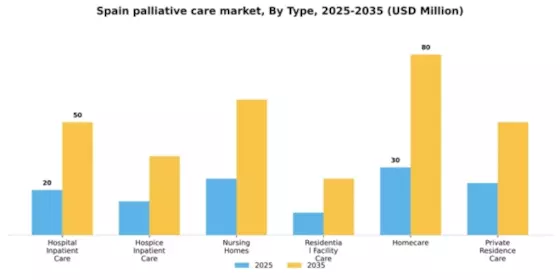 Spain Palliative Care Market Segment Image 2