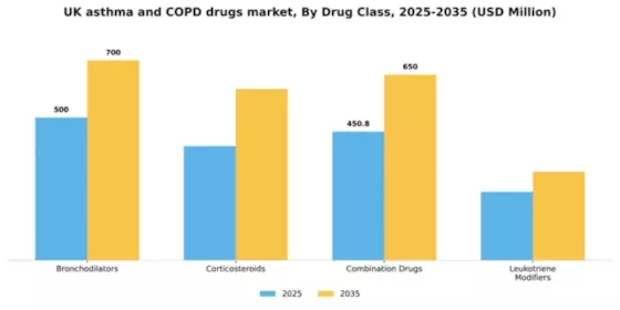 UK Asthma COPD Drugs Market Segment Image 1