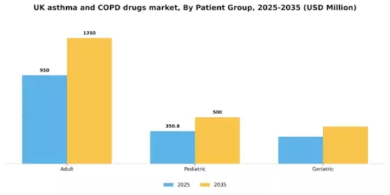 UK Asthma COPD Drugs Market Segment Image 2