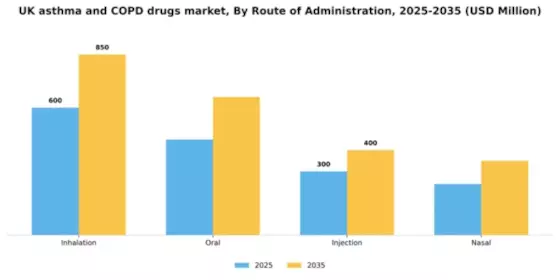 UK Asthma COPD Drugs Market Segment Image 3