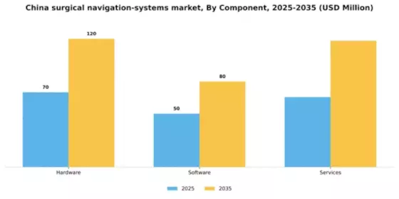 China Surgical Navigation Systems Market Segment Image 1
