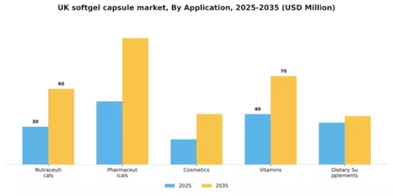 UK Softgel Capsule Market Segment Image 0