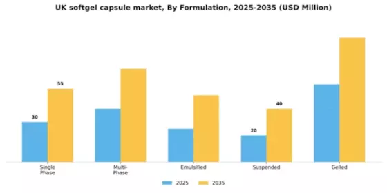 UK Softgel Capsule Market Segment Image 2