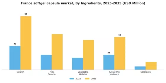 France Softgel Capsule Market Segment Image 3