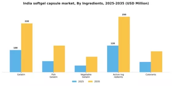 India Softgel Capsule Market Segment Image 3