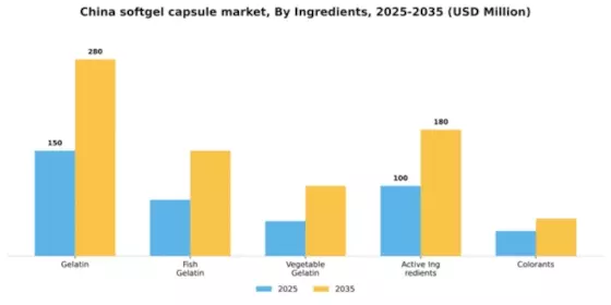 China Softgel Capsule Market Segment Image 3