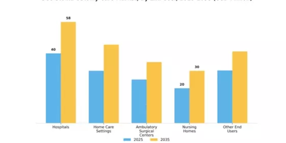 GCC Stoma Ostomy Care Market Segment Image 2