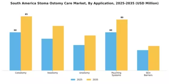 South America Stoma Ostomy Care Market Segment Image 0