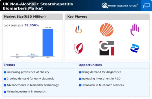 UK Non Alcoholic Steatohepatitis Biomarkers Market Infographic
