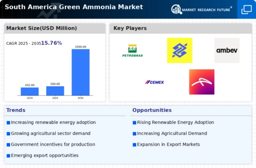 South America Green Ammonia Market Infographic