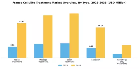 France Cellulite Treatment Market Segment Image 2