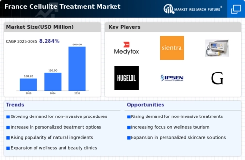 France Cellulite Treatment Market Infographic