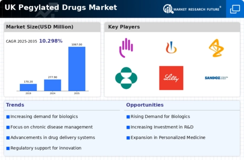 UK Pegylated Drugs Market Research Report - Forecast to 2035 Infographic