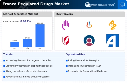 France Pegylated Drugs Market Infographic