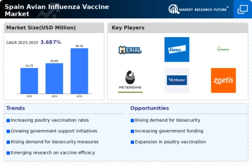 Spain Avian Influenza Vaccine Market Infographic