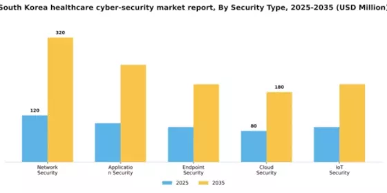 South Korea Healthcare Cyber Security Market Segment Image 2