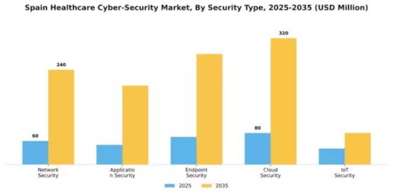 Spain Healthcare Cyber Security Market Segment Image 2
