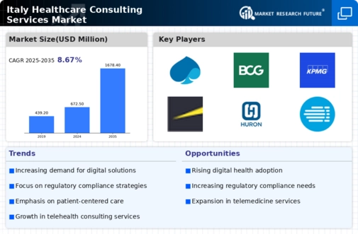 Italy Healthcare Consulting Services Market Infographic