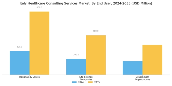 Italy Healthcare Consulting Services Market Segment Image 2