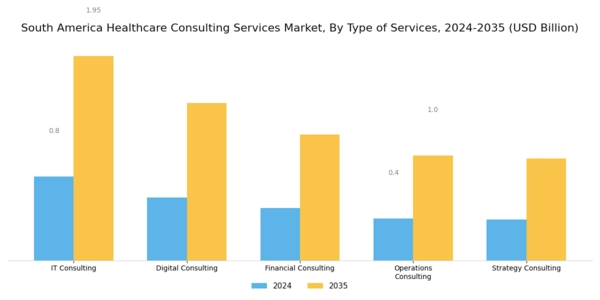 South America Healthcare Consulting Services Market Segment Image 0