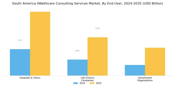 South America Healthcare Consulting Services Market Segment Image 2
