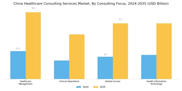 China Healthcare Consulting Services Market Segment Image 2