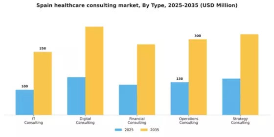 Spain Healthcare Consulting Services Market Segment Image 2