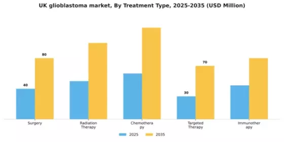 UK Glioblastoma Market Segment Image 3