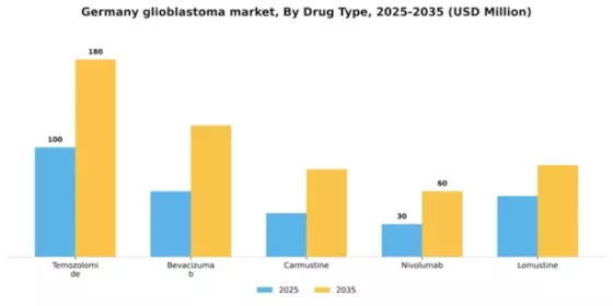Germany Glioblastoma Market Segment Image 1