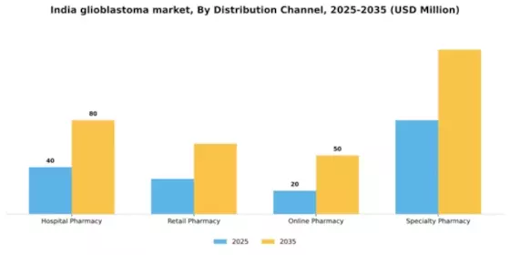 India Glioblastoma Market Segment Image 0