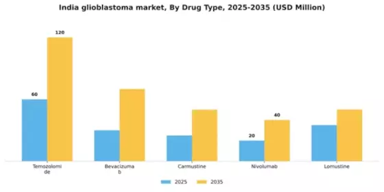 India Glioblastoma Market Segment Image 1