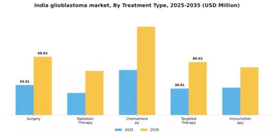 India Glioblastoma Market Segment Image 3