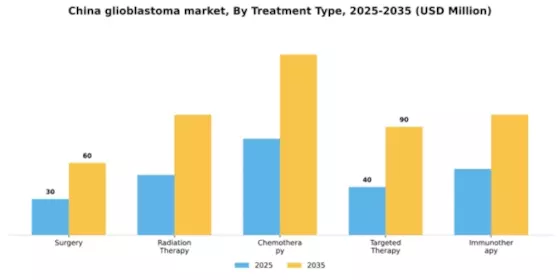 China Glioblastoma Market Segment Image 3