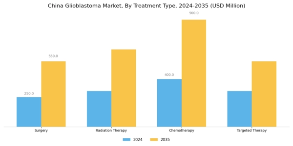 China Glioblastoma Market Segment Image 0