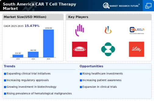 South America Car T Cell Therapy Market Infographic