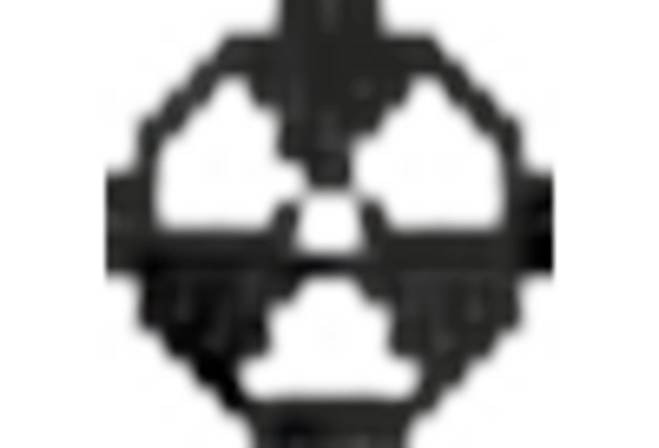 China Radiation Protection Apparels Market key player