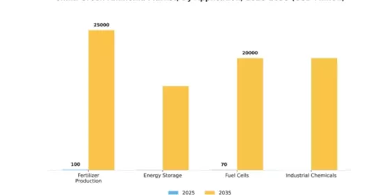 China Green Ammonia Market Segment Image 0